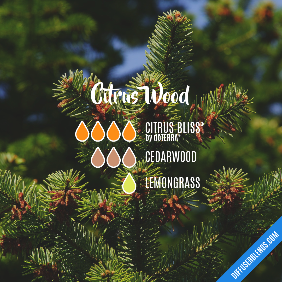 Citrus Wood — Essential Oil Diffuser Blend