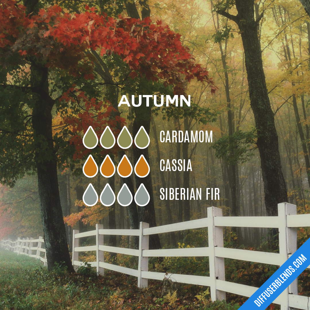 Autumn — Essential Oil Diffuser Blend