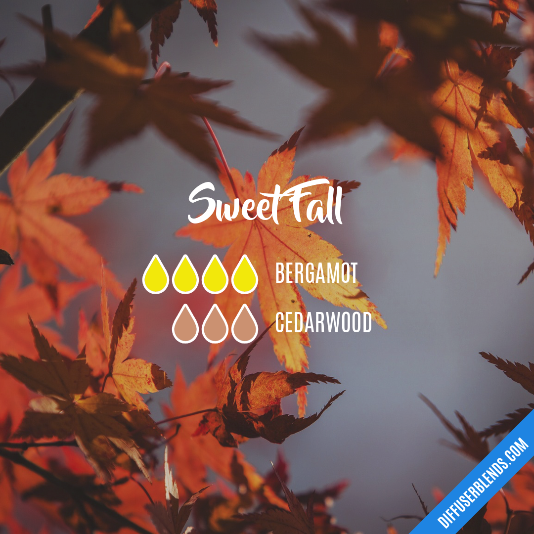 Sweet Fall — Essential Oil Diffuser Blend
