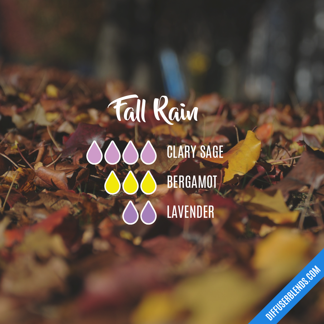 Fall Rain — Essential Oil Diffuser Blend