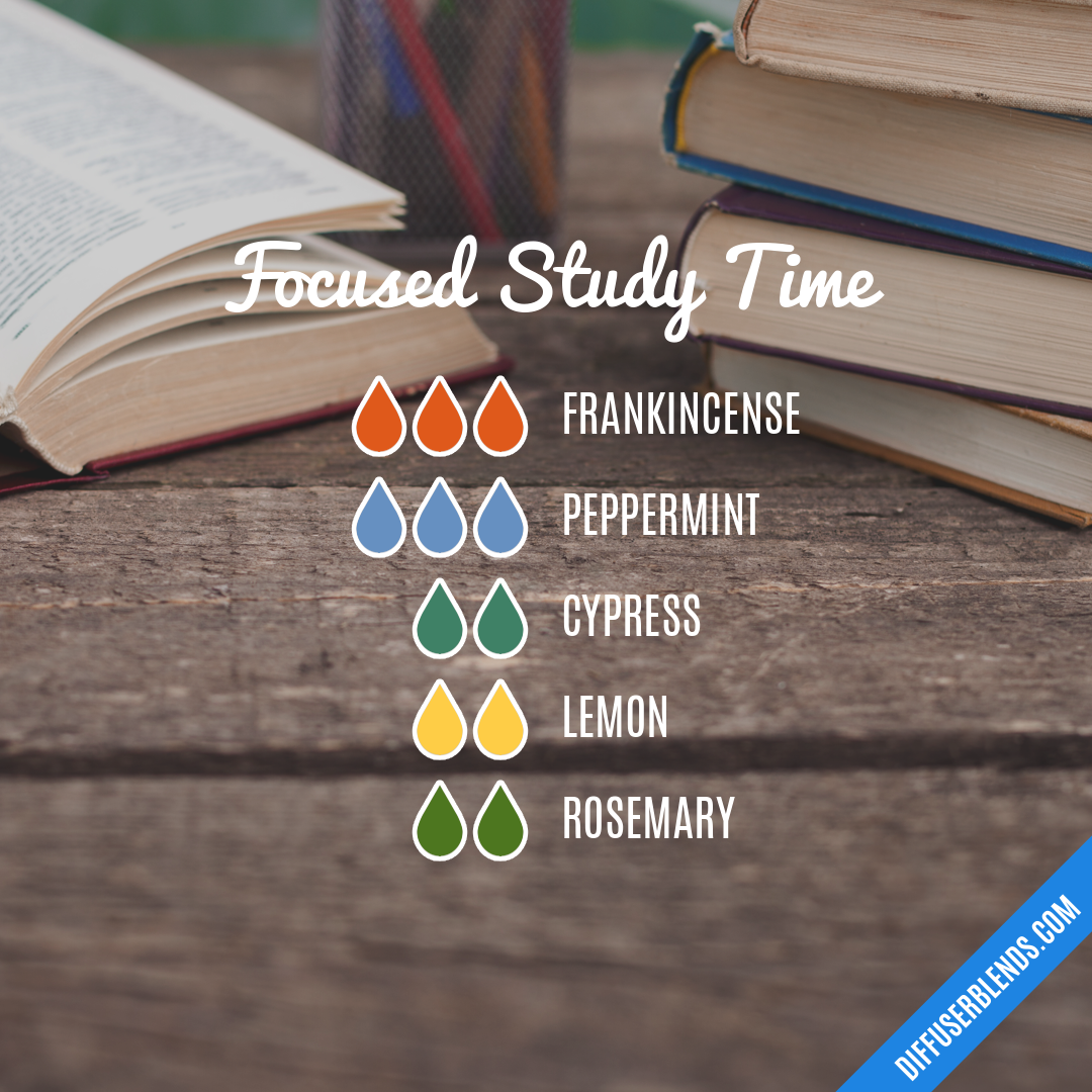 Focused Study Time — Essential Oil Diffuser Blend