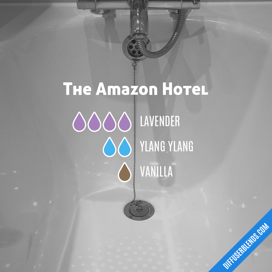 The Amazon Hotel