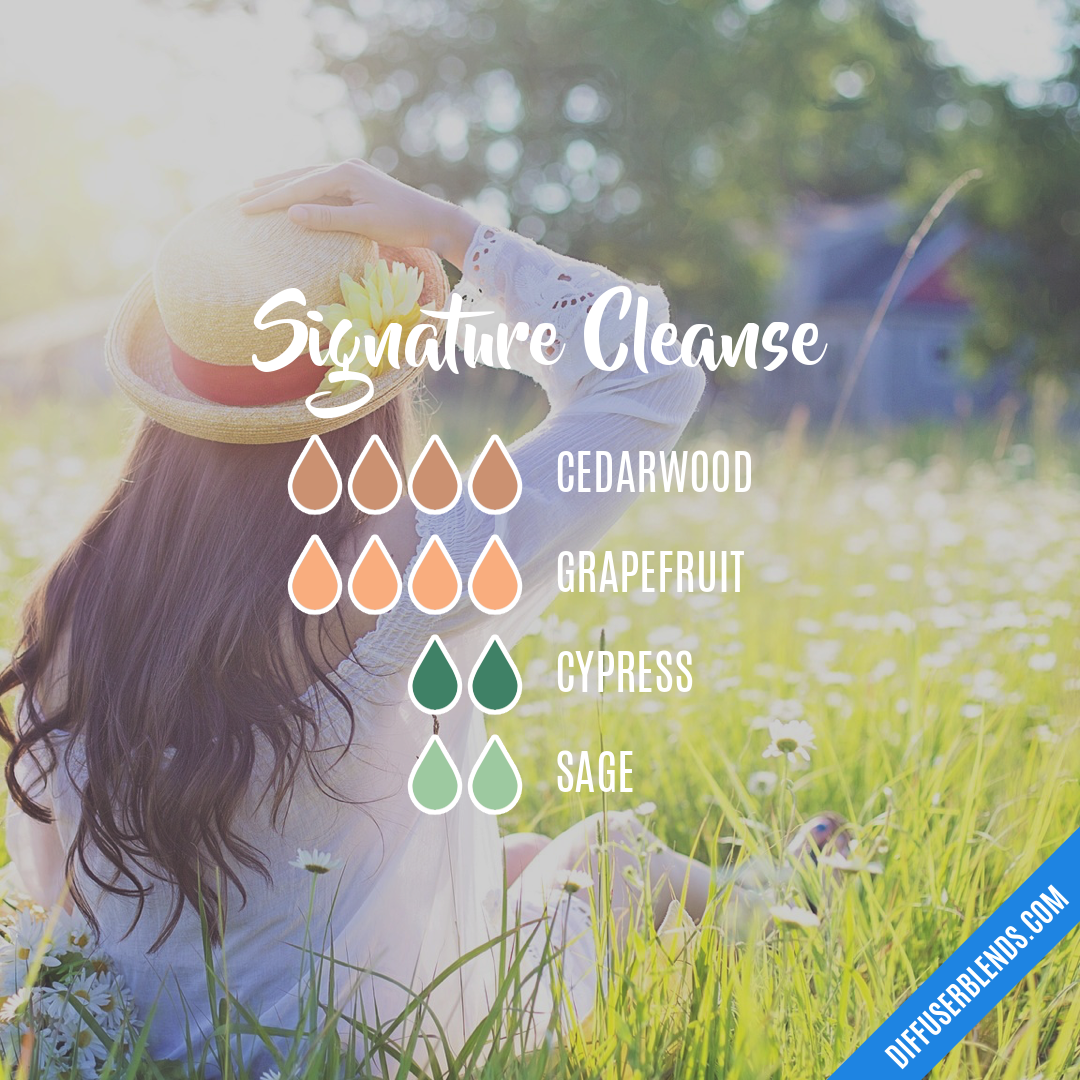 Signature Cleanse — Essential Oil Diffuser Blend
