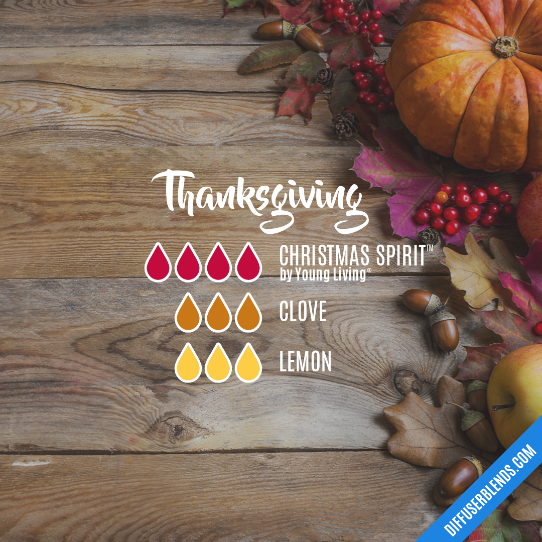 Thanksgiving — Essential Oil Diffuser Blend