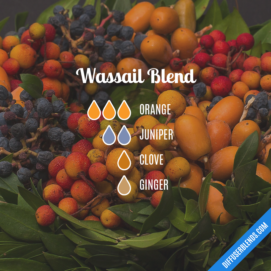 Wassail Blend — Essential Oil Diffuser Blend