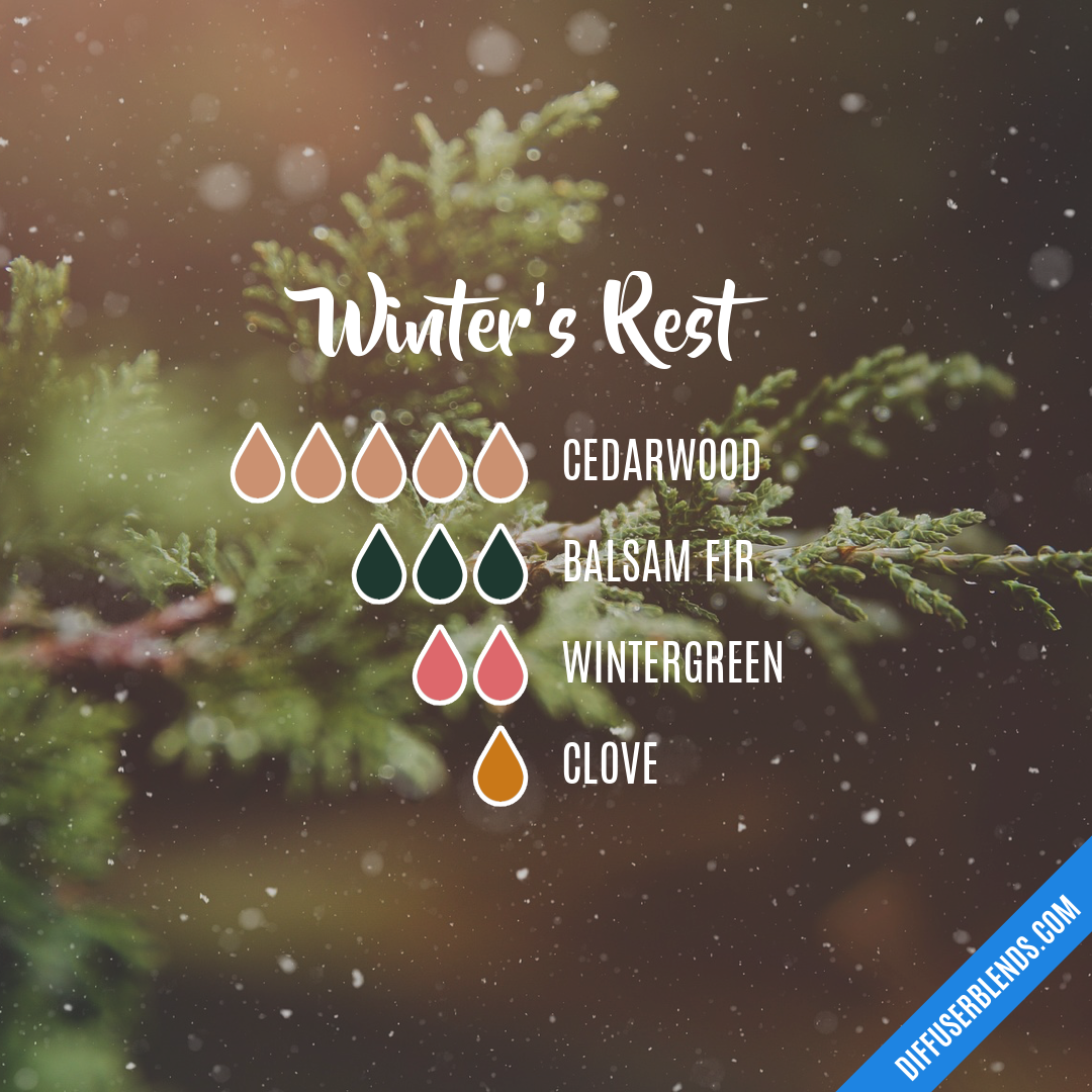 Winter's Rest — Essential Oil Diffuser Blend