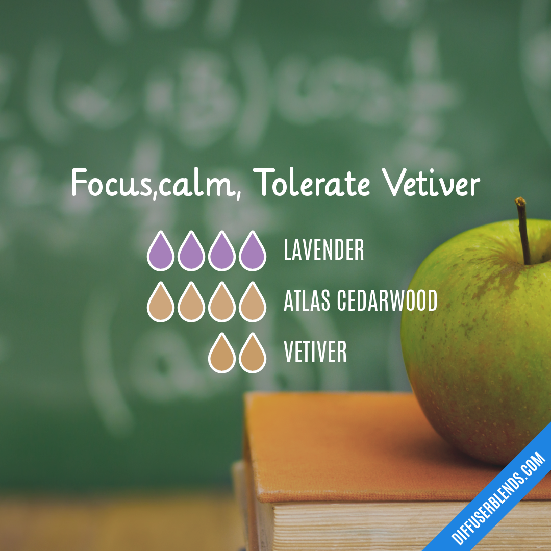 Focus,calm, Tolerate Vetiver — Essential Oil Diffuser Blend