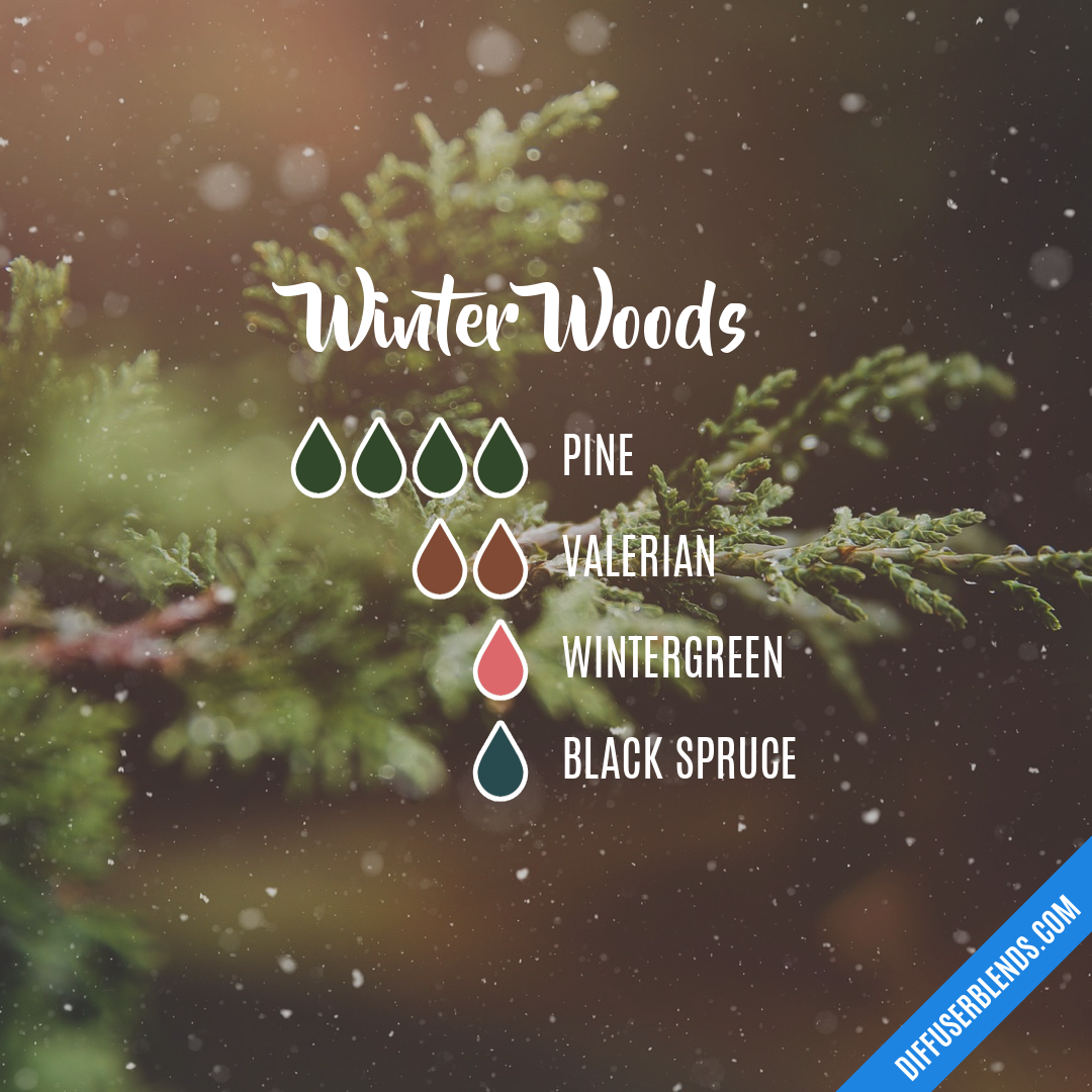 Winter Woods — Essential Oil Diffuser Blend