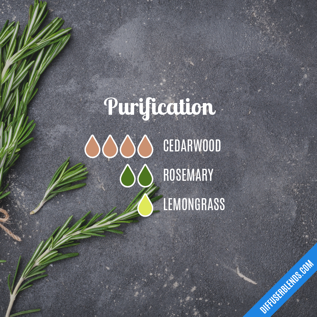 Purification — Essential Oil Diffuser Blend