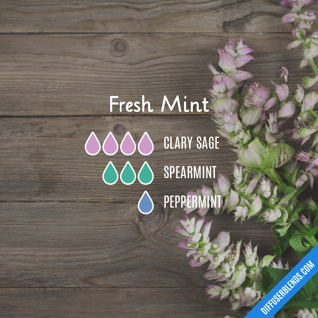 Fresh Mint — Essential Oil Diffuser Blend