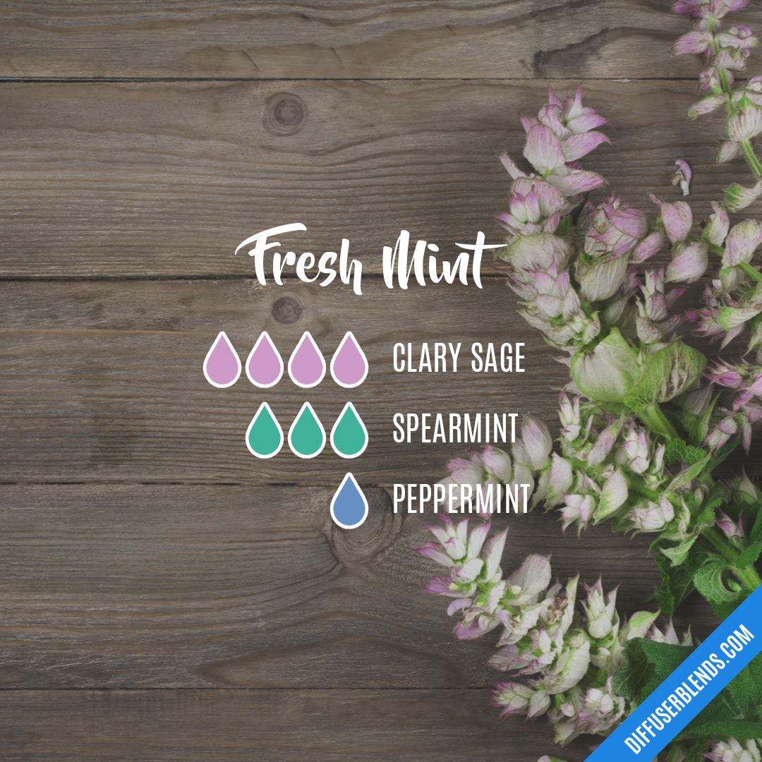 Fresh Mint — Essential Oil Diffuser Blend