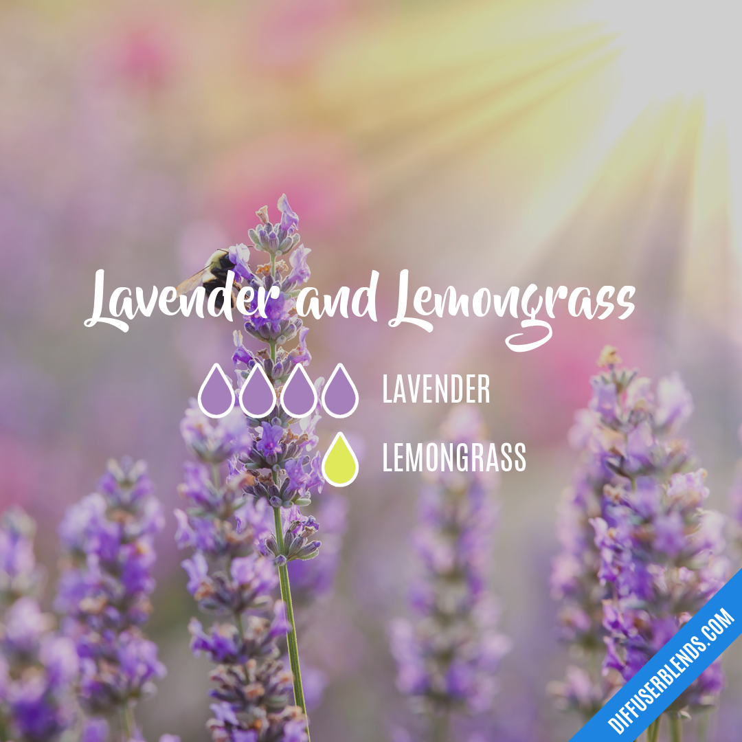 Lavender and Lemongrass — Essential Oil Diffuser Blend