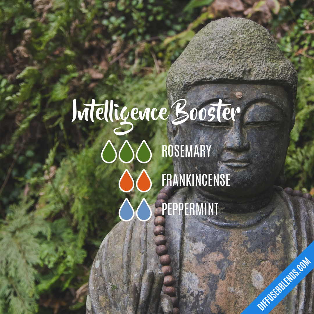 Intelligence Booster — Essential Oil Diffuser Blend