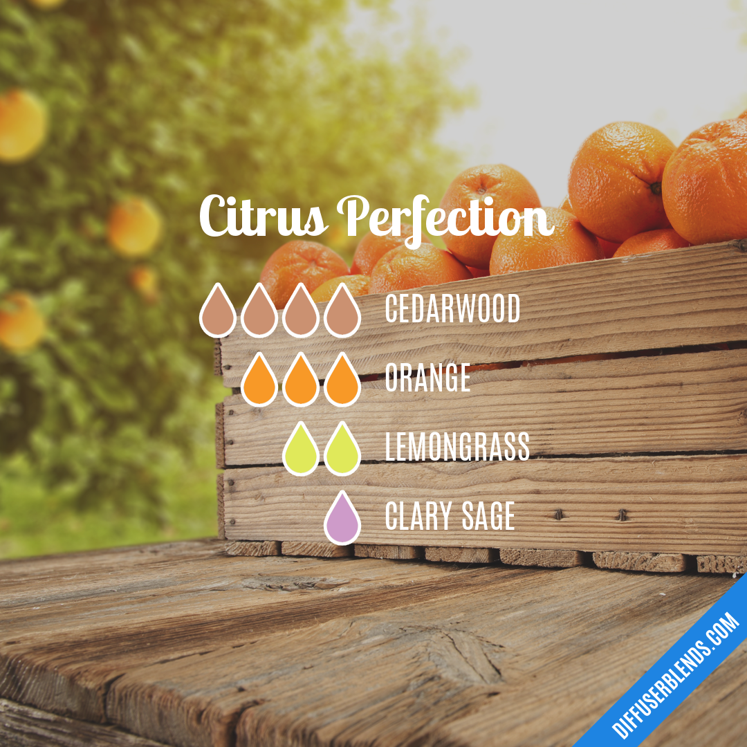 Citrus Perfection — Essential Oil Diffuser Blend
