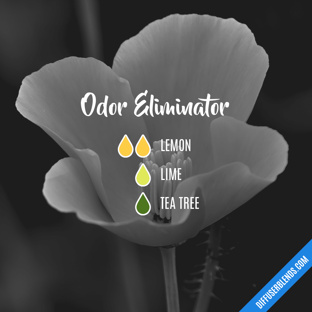 Odor Eliminator — Essential Oil Diffuser Blend
