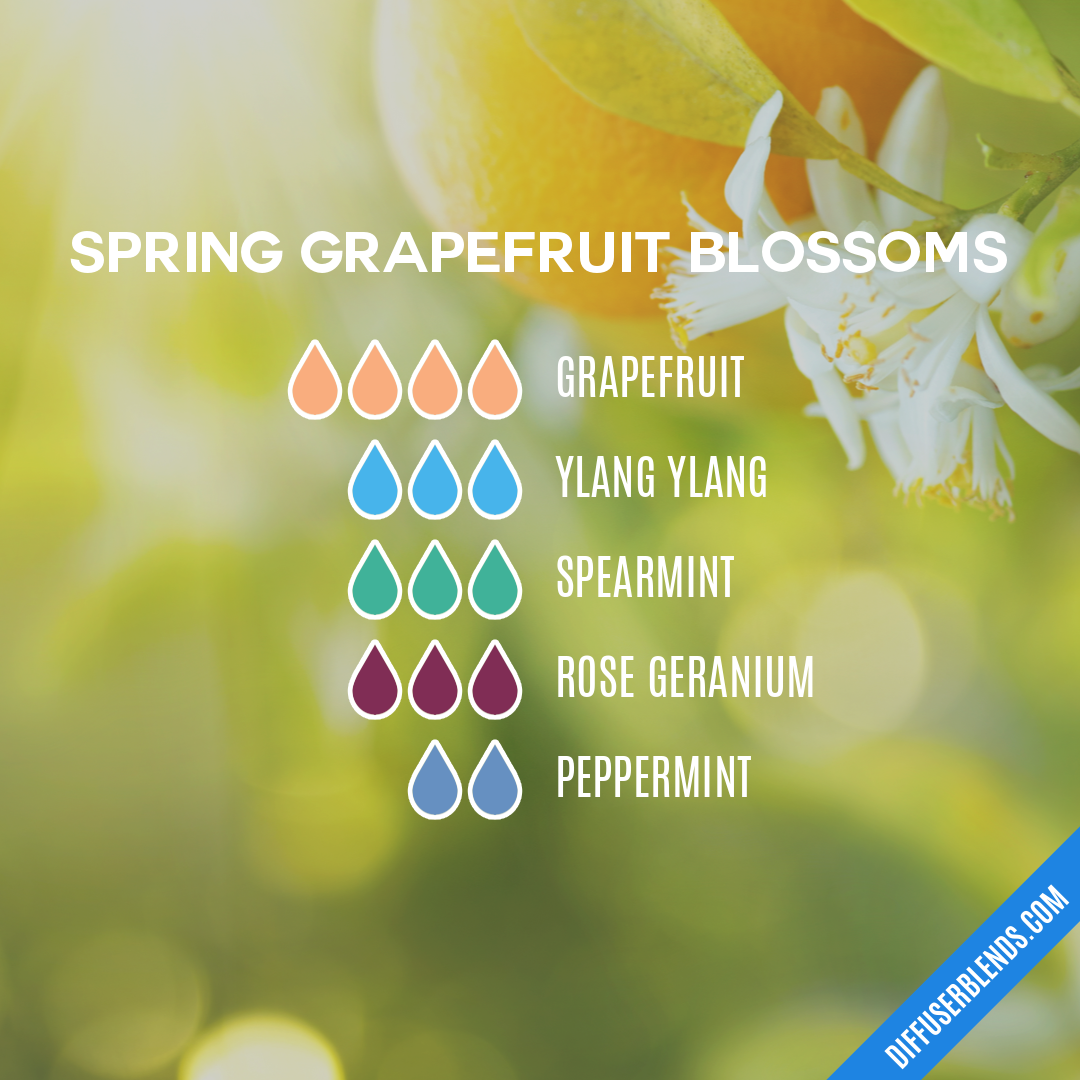 Spring Grapefruit Blossoms