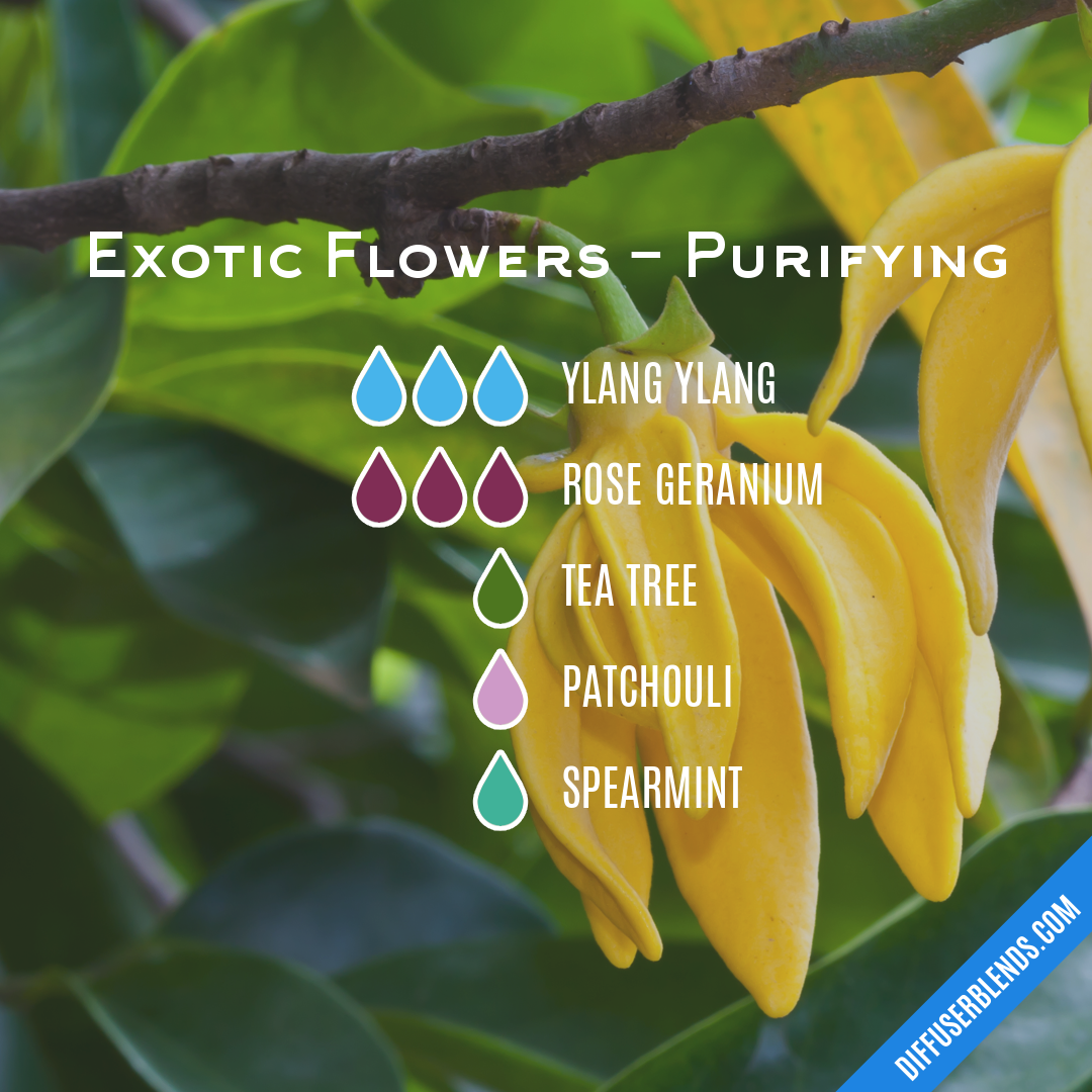 Exotic Flowers - Purifying — Essential Oil Diffuser Blend