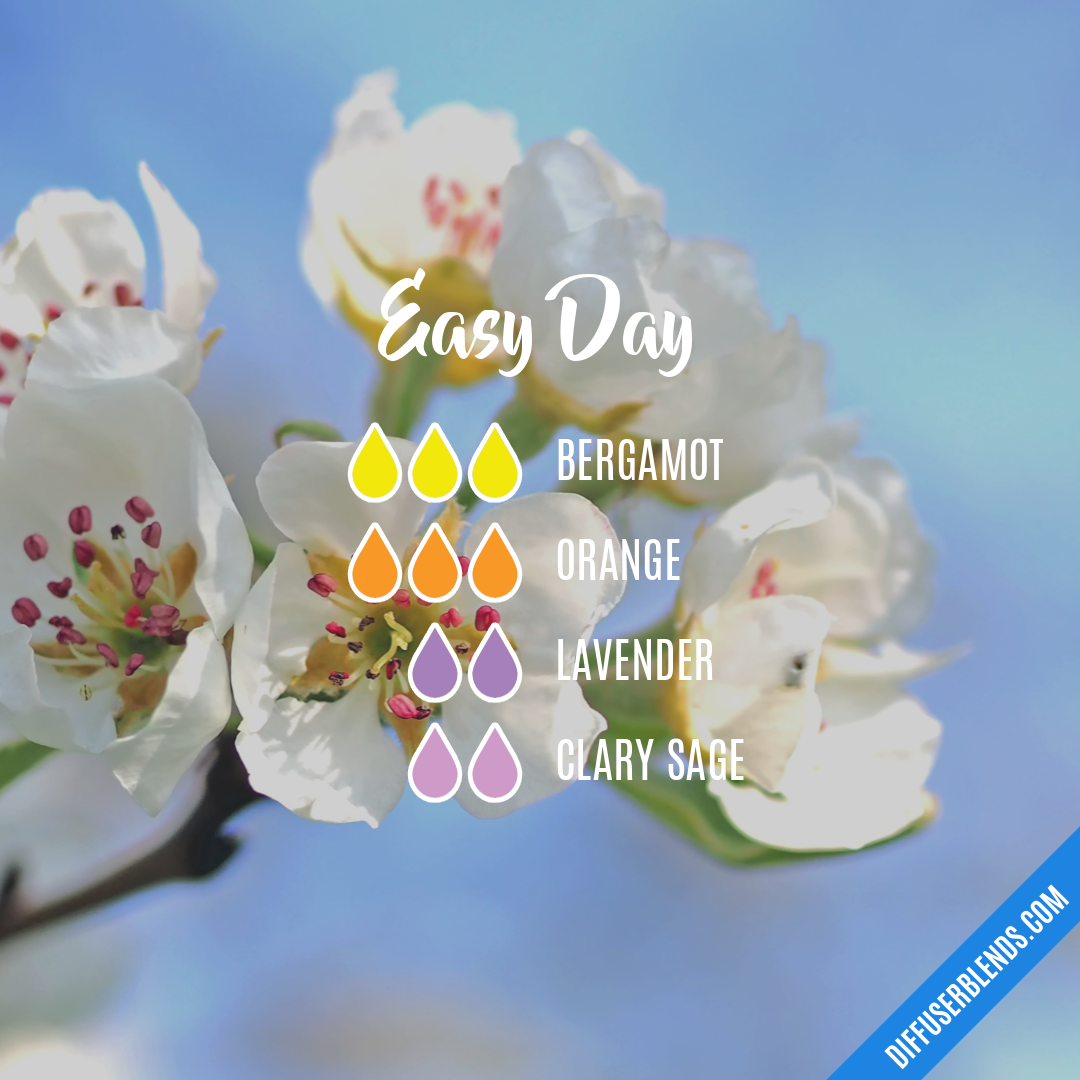 Easy Day — Essential Oil Diffuser Blend