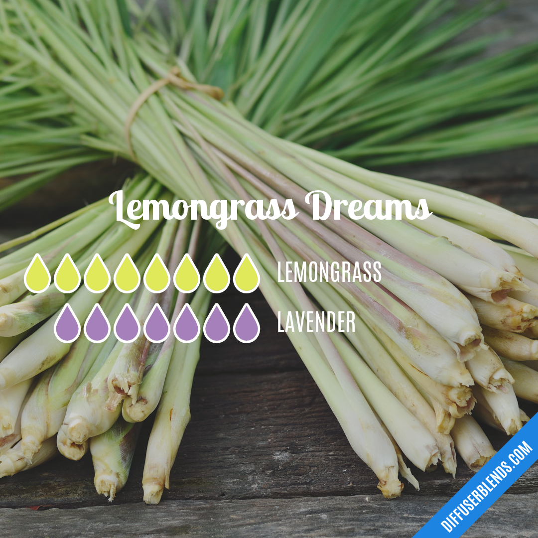 tempereret gaben På kanten Lemongrass Dreams | DiffuserBlends.com