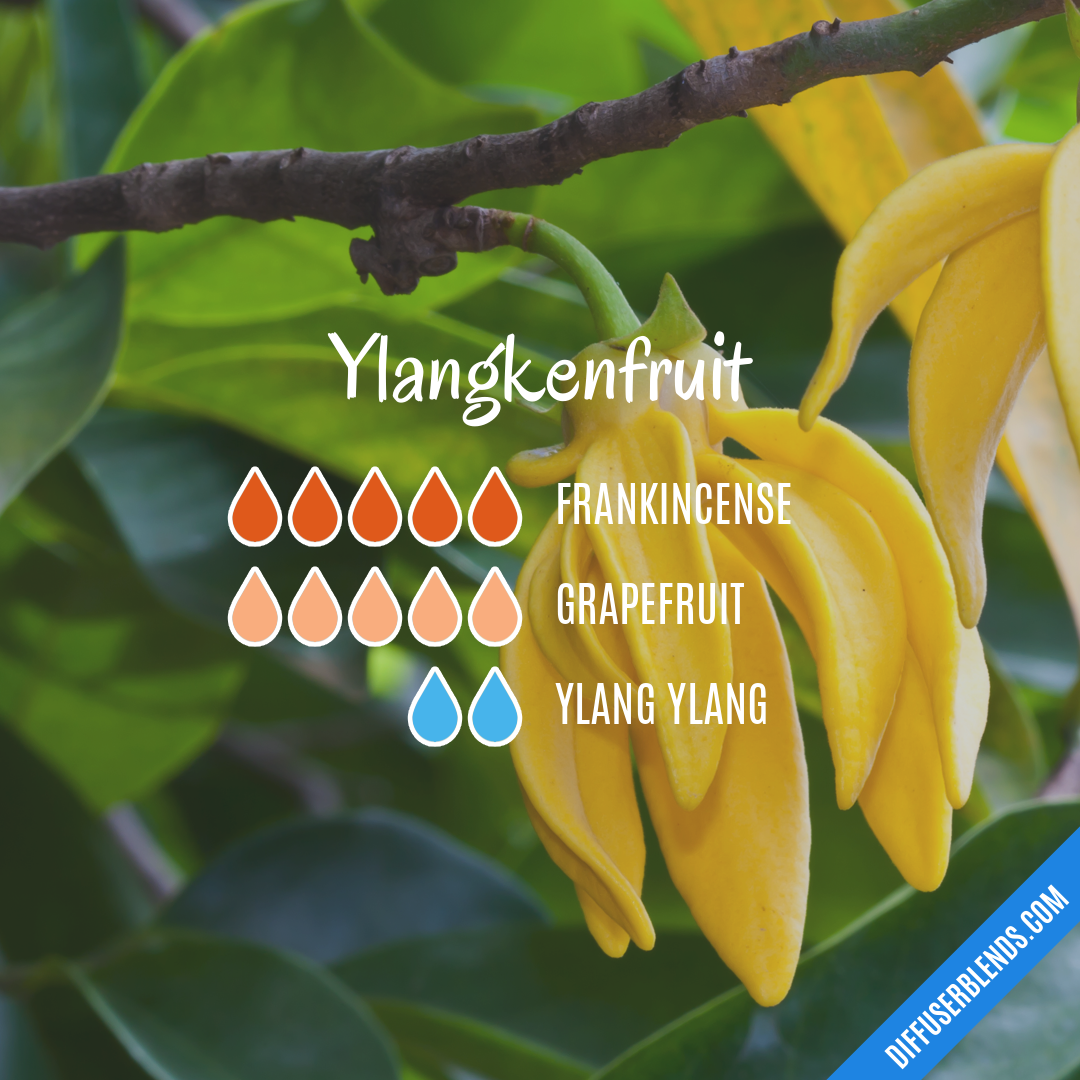 Ylangkenfruit — Essential Oil Diffuser Blend
