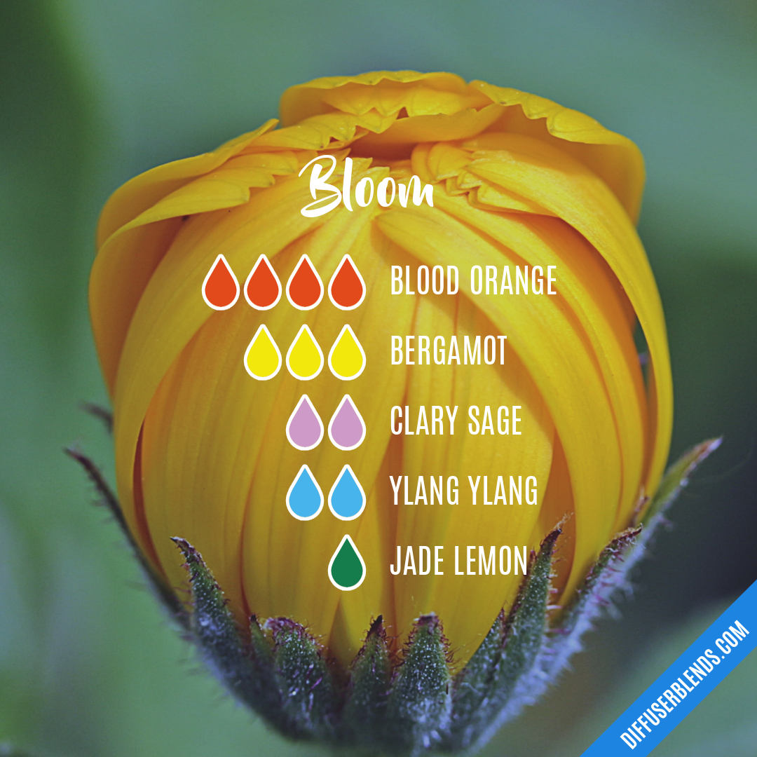 Bloom — Essential Oil Diffuser Blend
