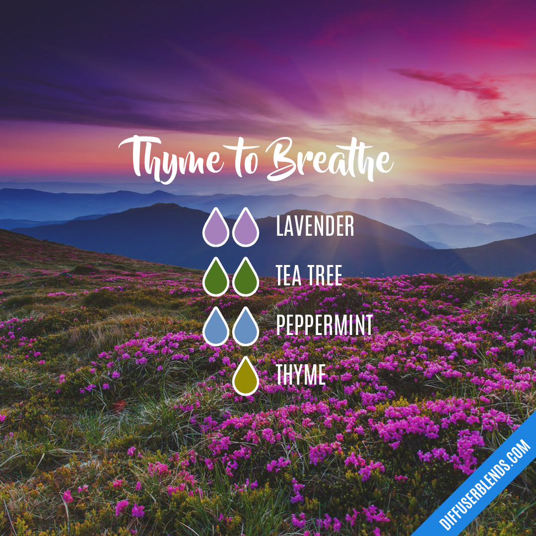 Thyme to Breathe — Essential Oil Diffuser Blend
