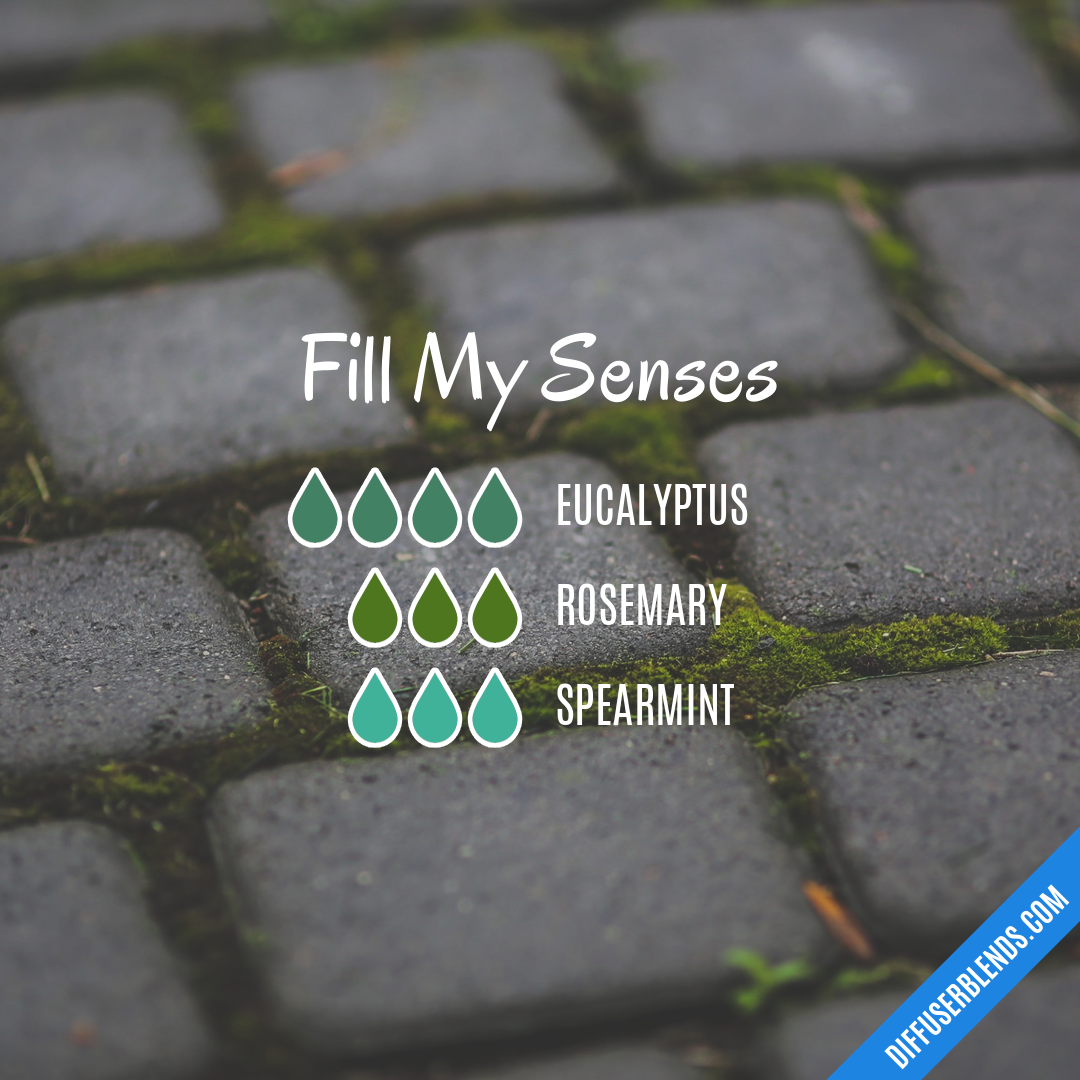 Fill My Senses — Essential Oil Diffuser Blend