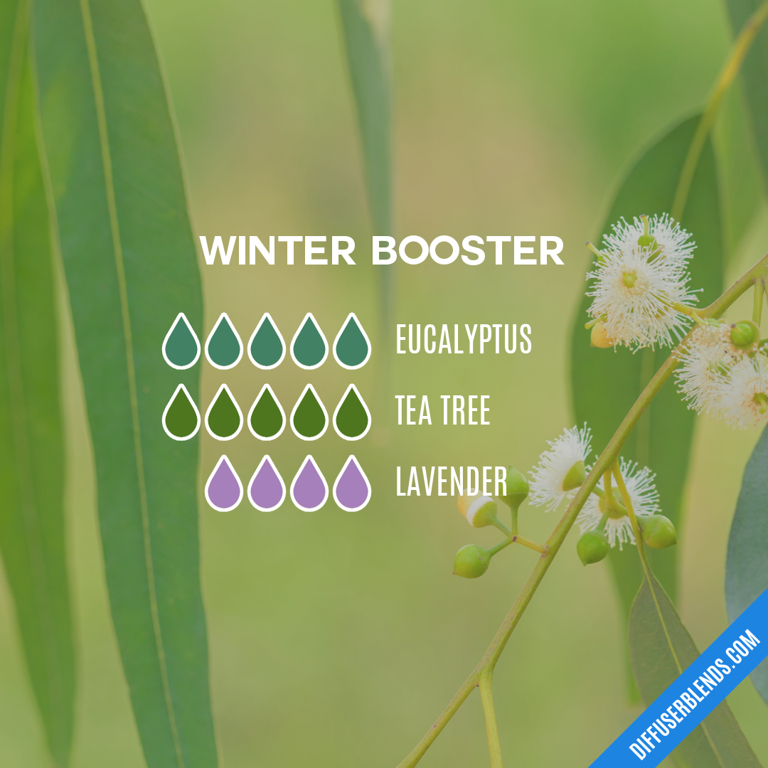 Winter Booster — Essential Oil Diffuser Blend