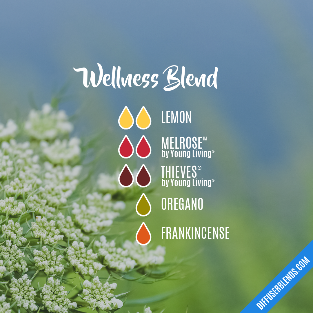 Wellness Blend — Essential Oil Diffuser Blend