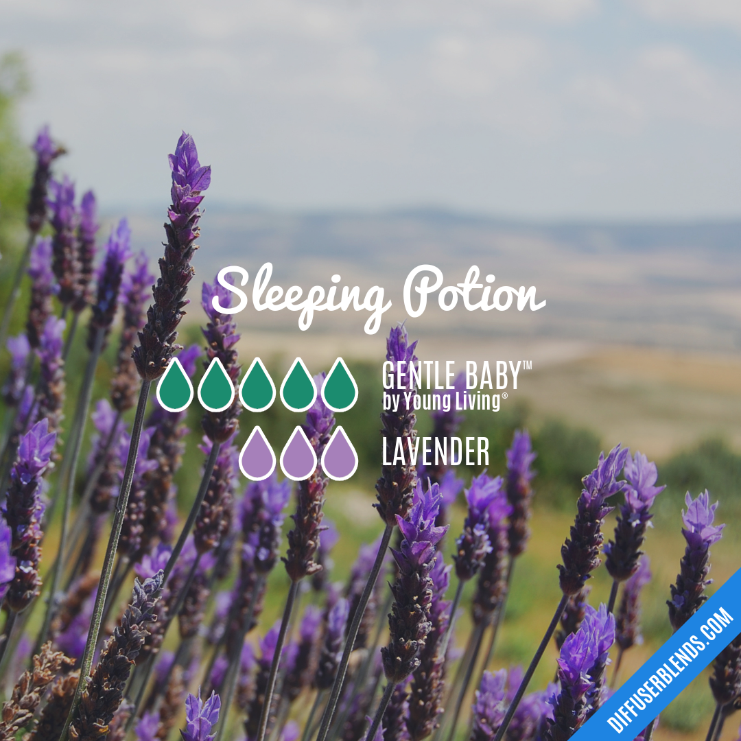 Sleeping Potion — Essential Oil Diffuser Blend