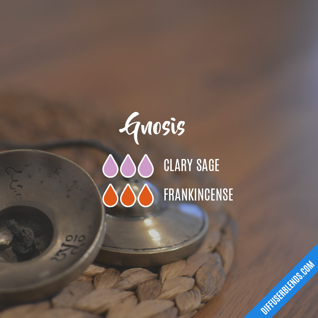 Gnosis — Essential Oil Diffuser Blend