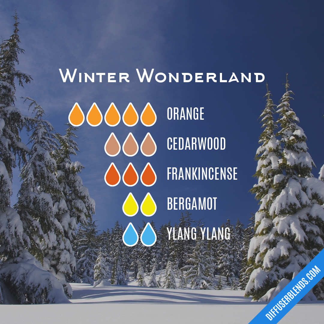 Winter Wonderland — Essential Oil Diffuser Blend