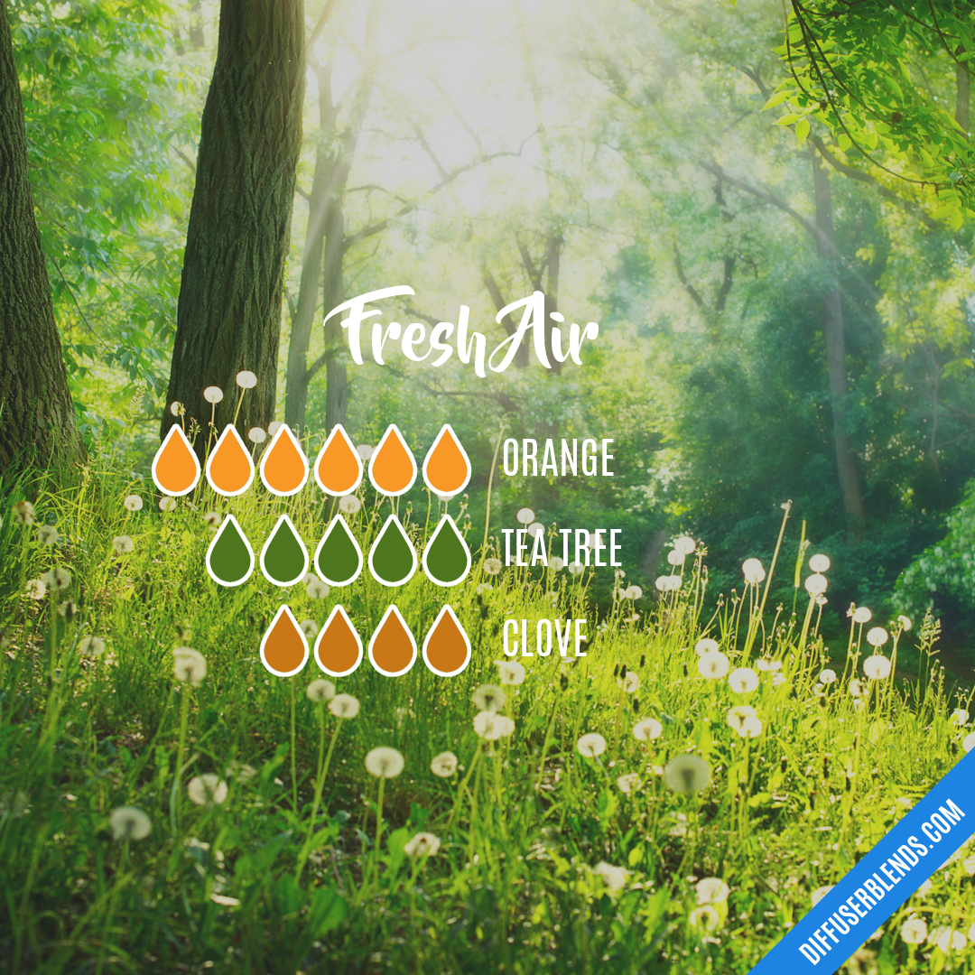 Fresh Air — Essential Oil Diffuser Blend
