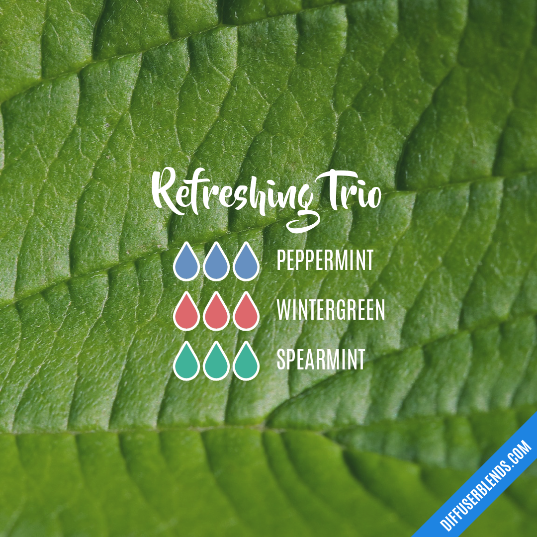 Refreshing Trio — Essential Oil Diffuser Blend