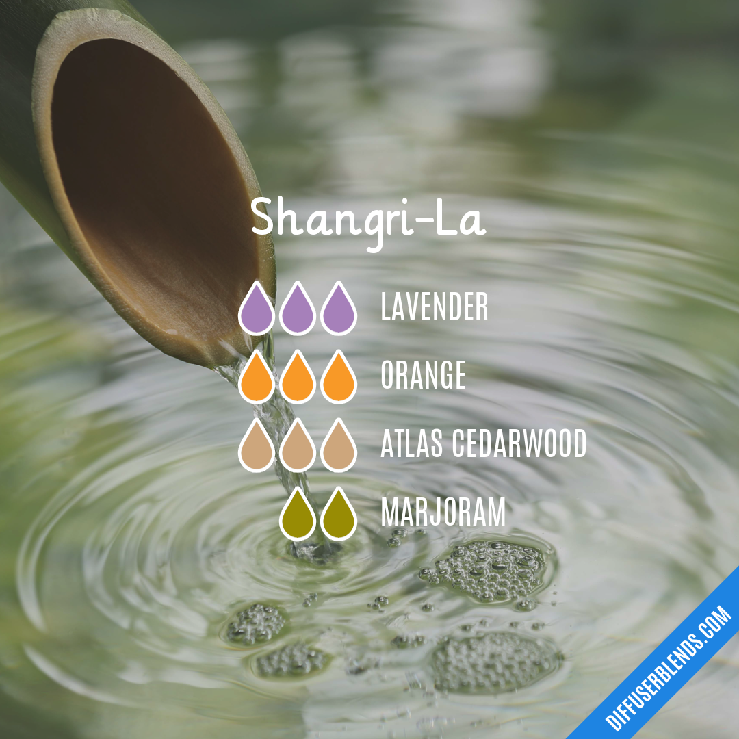 Shangri-La — Essential Oil Diffuser Blend