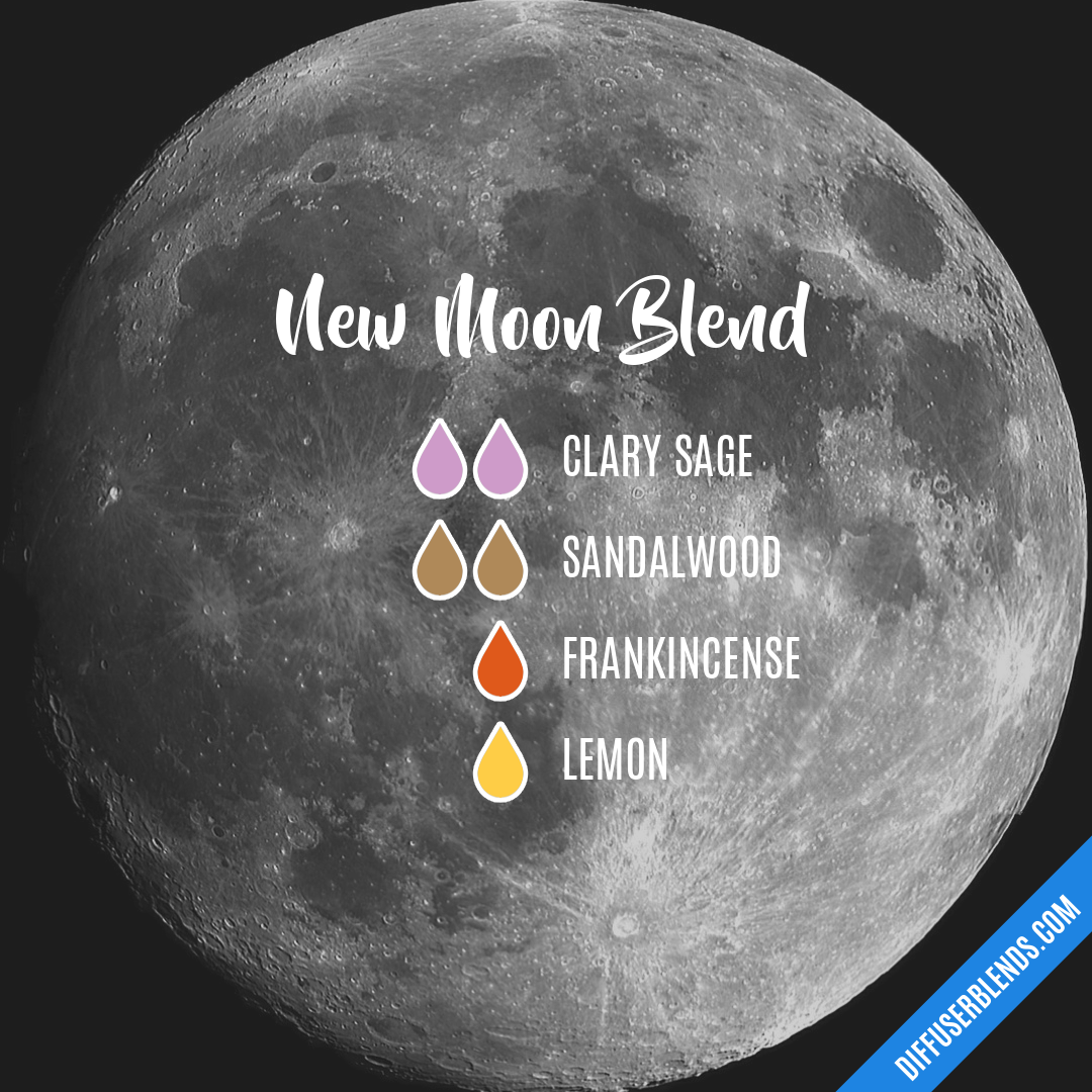 Essential Oil Diffuser Blend (3 Seasonal Scents) – Slow North