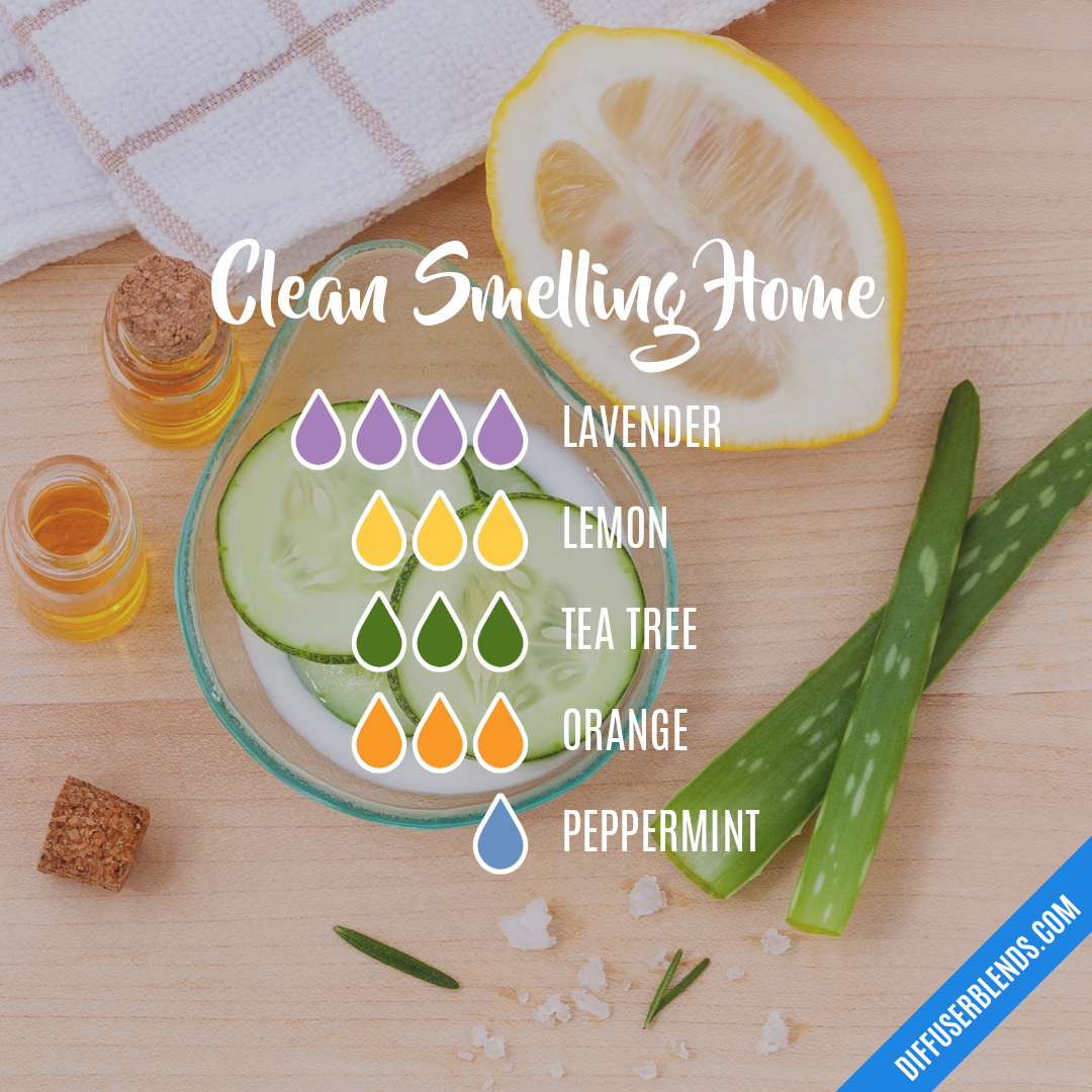 Clean Smelling Home — Essential Oil Diffuser Blend