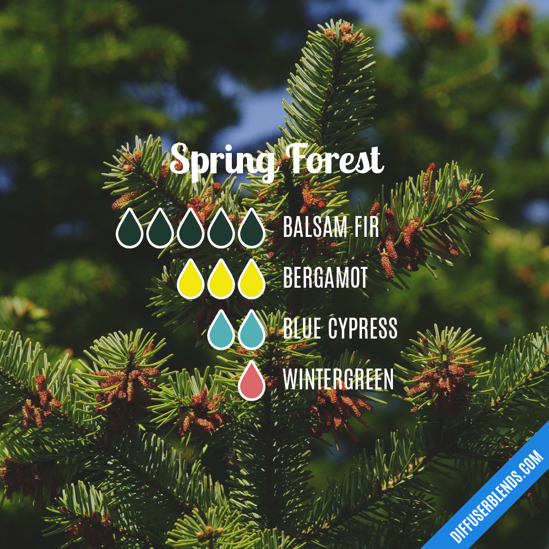 Spring Forest — Essential Oil Diffuser Blend