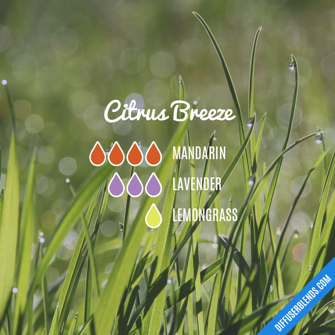 Citrus Breeze — Essential Oil Diffuser Blend
