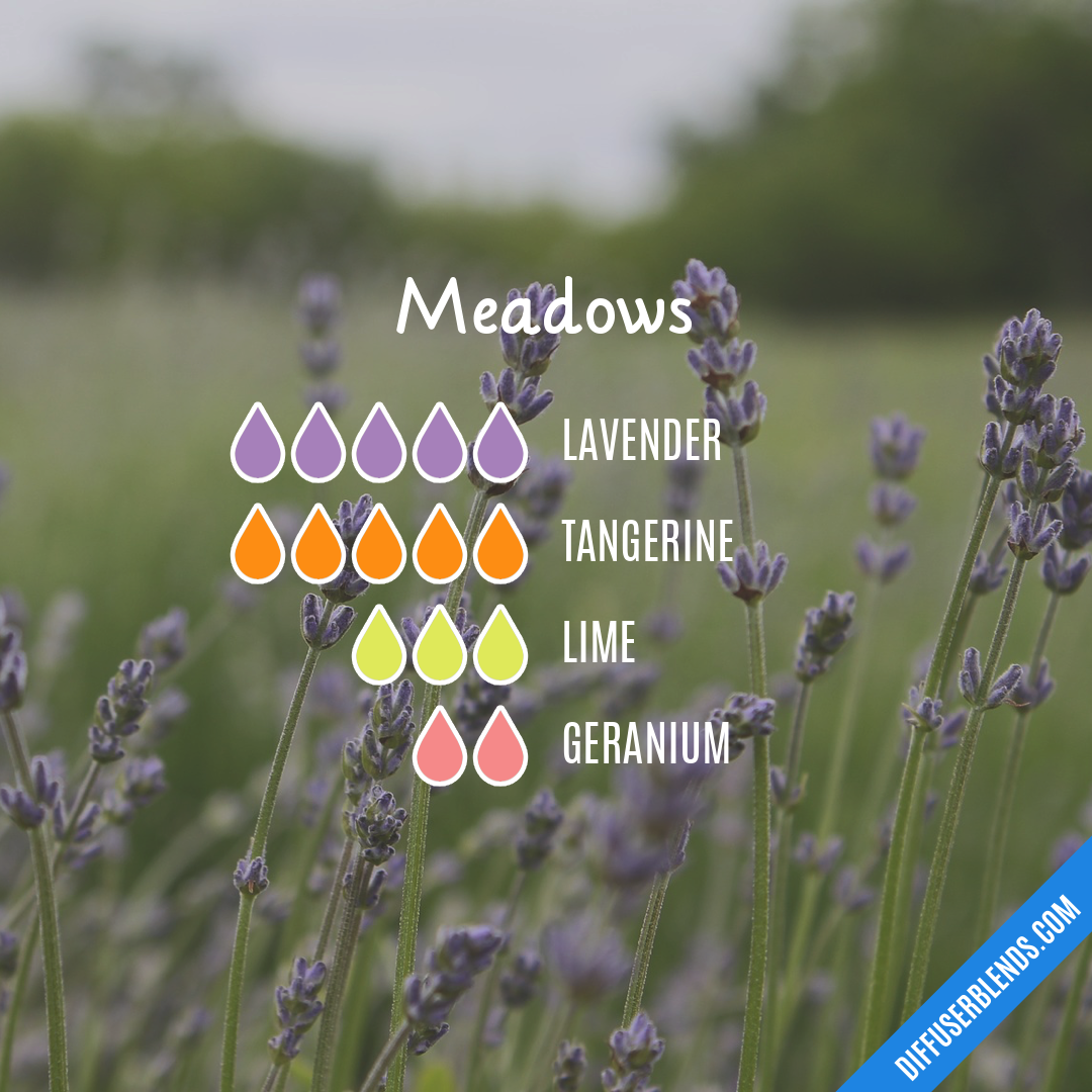 Meadows — Essential Oil Diffuser Blend