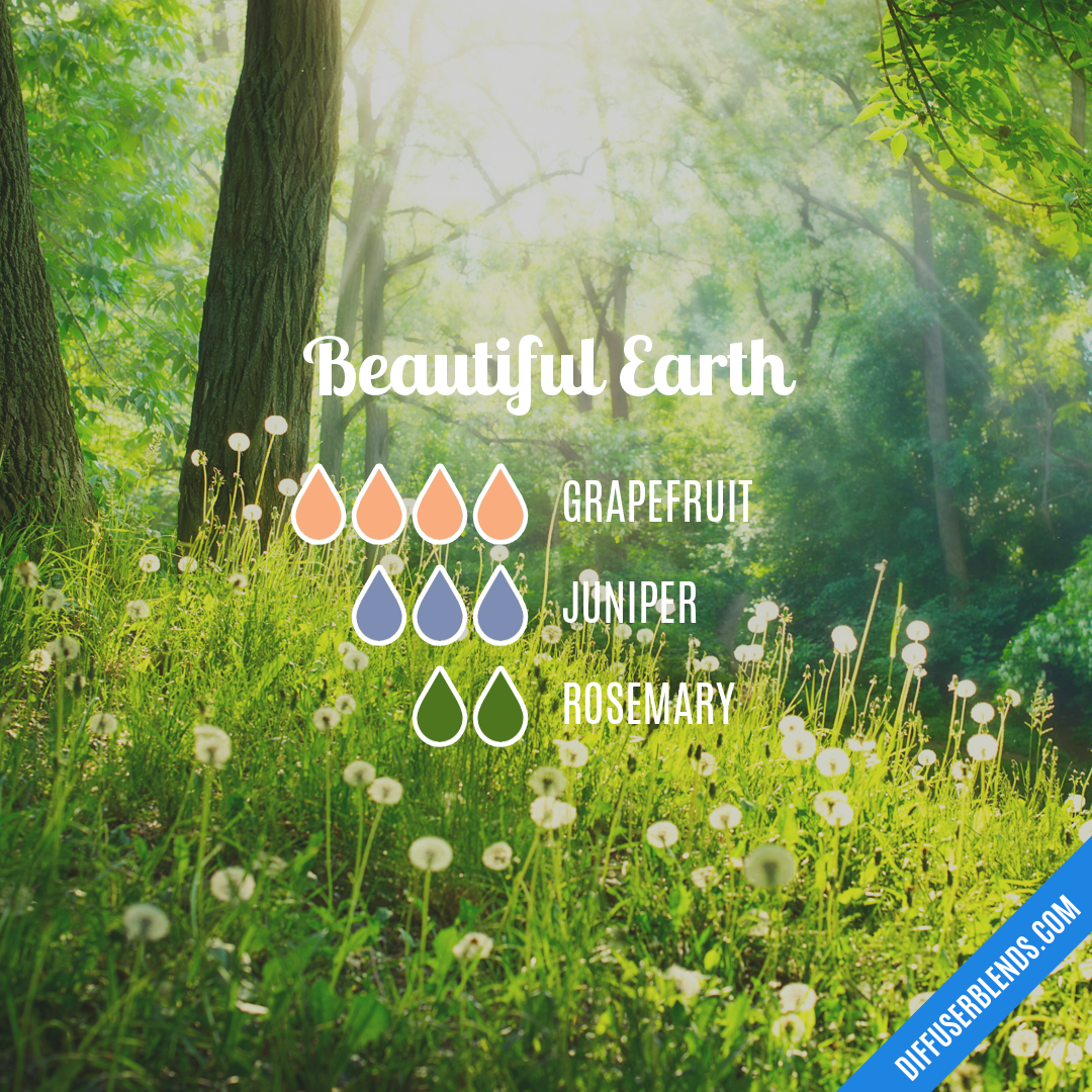 Beautiful Earth | DiffuserBlends.com