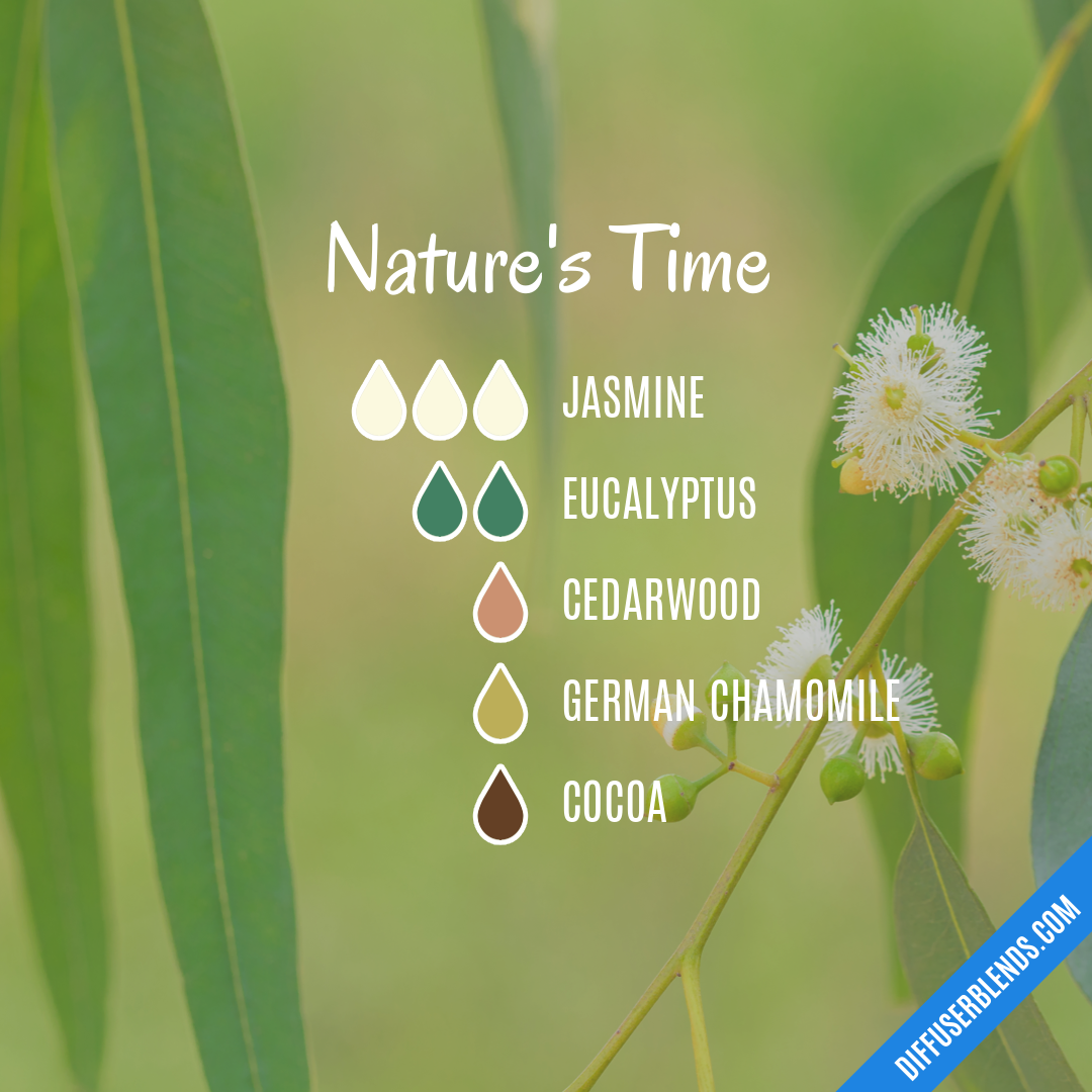 Nature's Time — Essential Oil Diffuser Blend