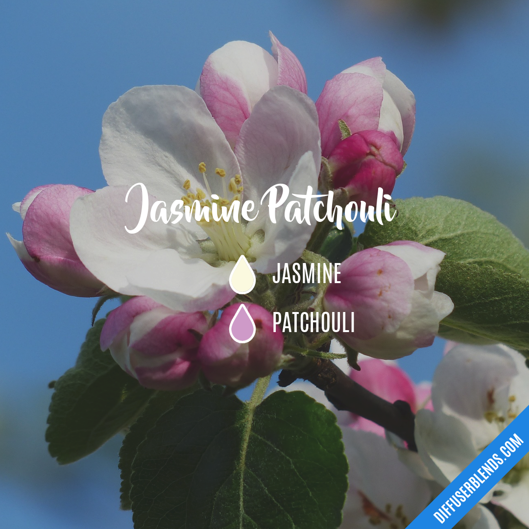 Jasmine Patchouli — Essential Oil Diffuser Blend