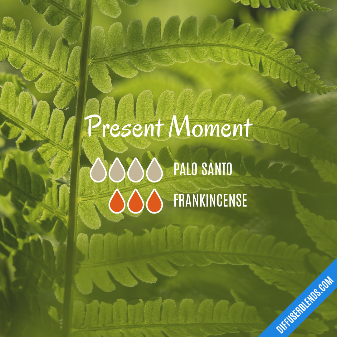 Present Moment — Essential Oil Diffuser Blend