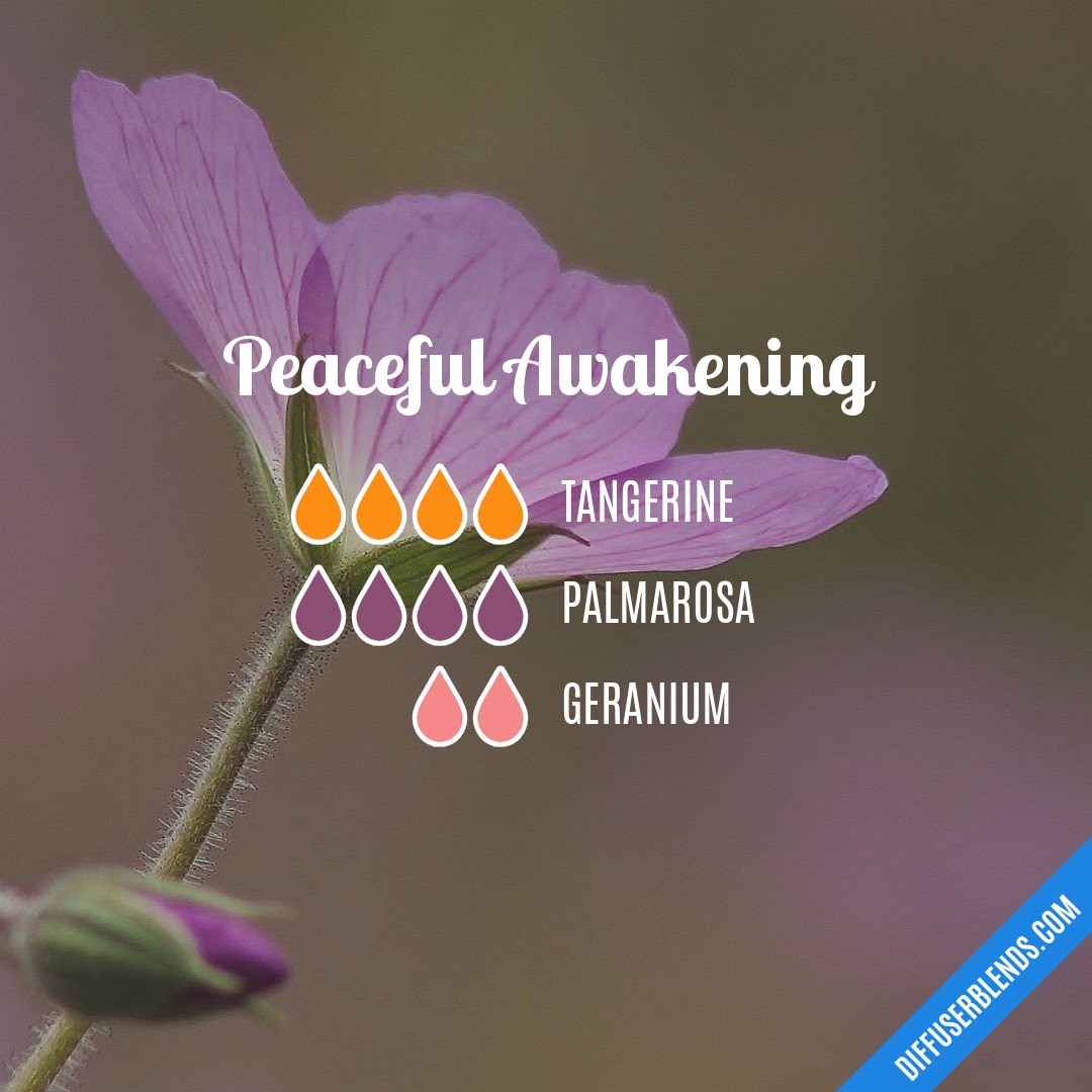 Peaceful Awakening — Essential Oil Diffuser Blend