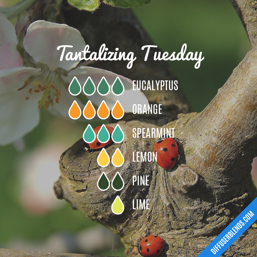 Tantalizing Tuesday — Essential Oil Diffuser Blend