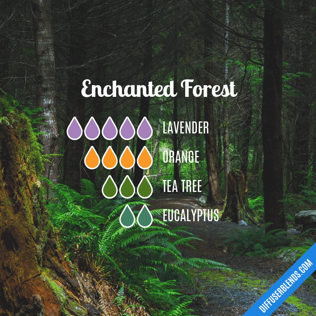 Enchanted Forest — Essential Oil Diffuser Blend