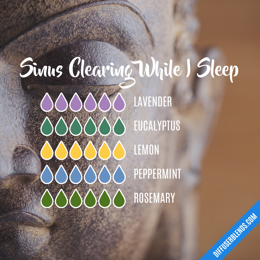 Sinus Clearing While I Sleep — Essential Oil Diffuser Blend