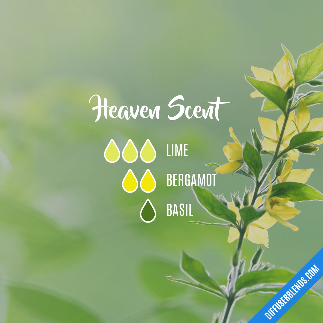 Heaven Scent — Essential Oil Diffuser Blend