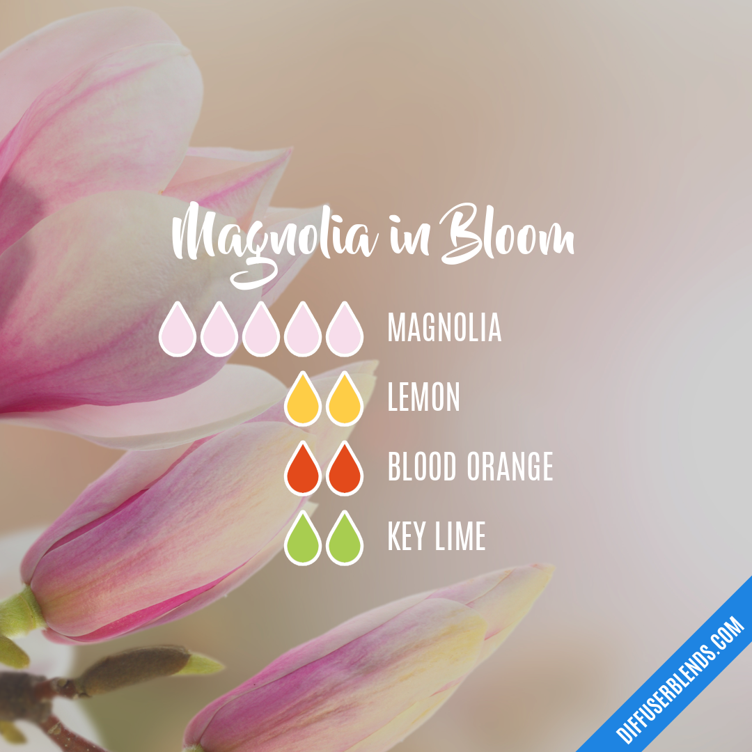 Magnolia Essential Oil